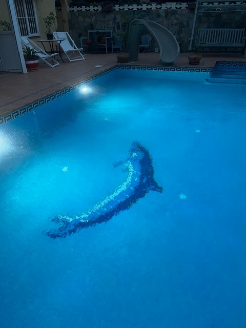 te huur huis voor 4 personen 